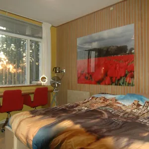 *** Bed and breakfast Tulip Gallery Países Bajos